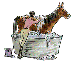 Horse Bath Soap